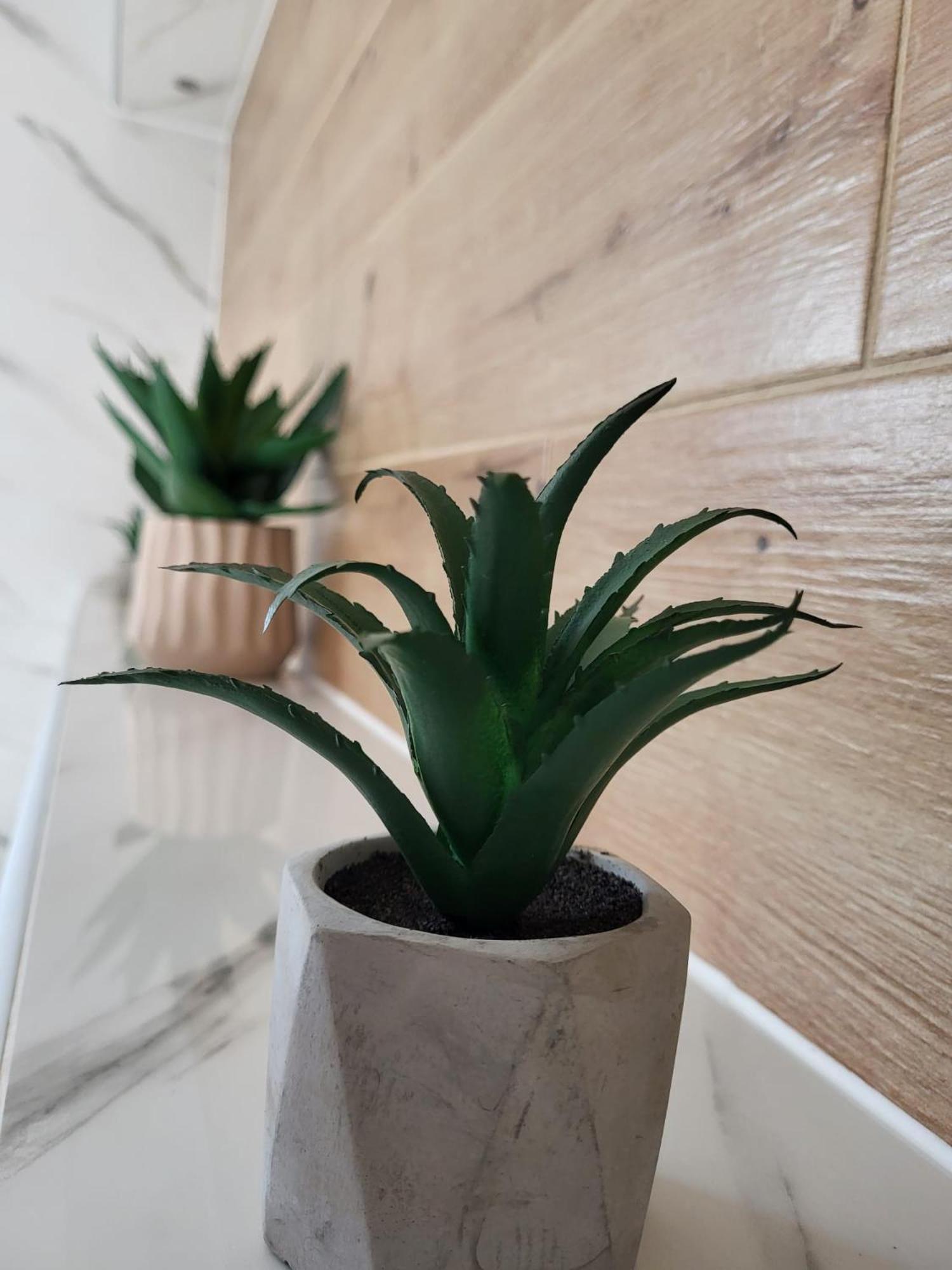 Apartment Dado スルニュ エクステリア 写真